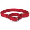 PetSafe Martingale Dog Collar - Safer Than Choke Chains -