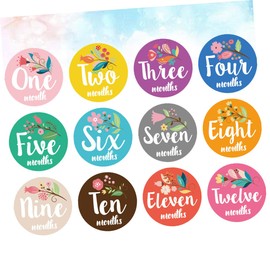 Totority Baby Monthly Milestone Cards 24 Pcs Floral Stickers Decorative Labels Monthly Milestone Stickers Tags for Label Flower Applique Month Sticker for Infant Pregnant Woman Decorate Newborn