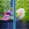 WILLBOND 2 Pieces Silicone Betta Bed Leaf Hammock for Betta