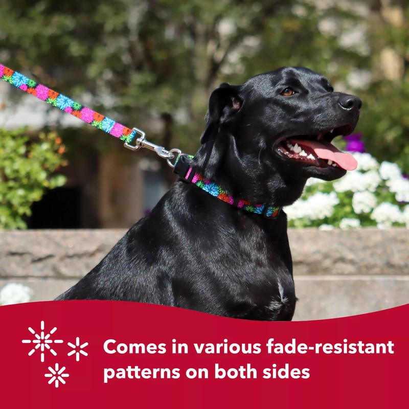 Coastal Pet Styles Adjustable Dog Collar - Stylish Patterned Fabrics