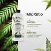 Fern Fertilizer for Greener Growth and Dense, Resilient Fronds, 16oz