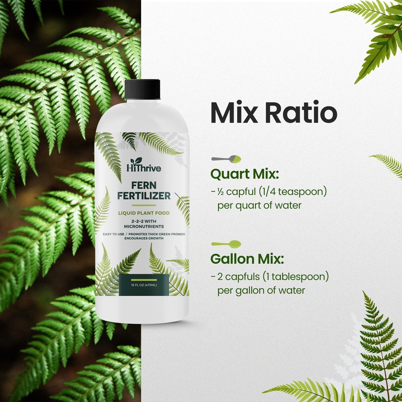 Fern Fertilizer for Greener Growth and Dense, Resilient Fronds, 16oz