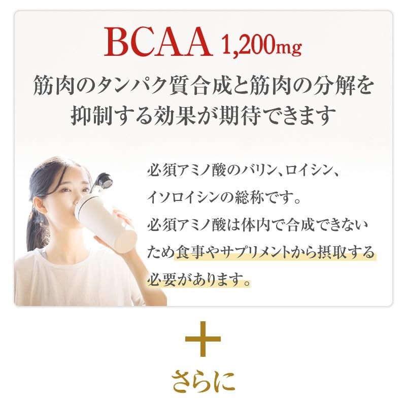Muscle COA
