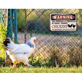 JIMOWANG Funny Chicken Coop Warning Vintage Metal Signs for Cafes Bars Pubs Shop Wall Decorative Funny Retro Signs 8 x 12 Inch