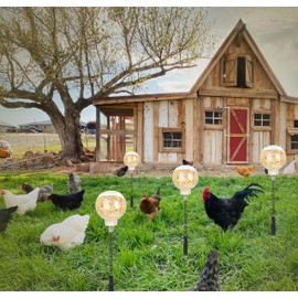 Magnoloran 2Pcs Chicken Peck Toys, Chicken Enrichment Toys with Swing Feeder, Interactive Slow Feed Release Toy for Your Flock, Chick Treat Dispensers for Hens Poultry Duck Birds Parrots