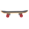 Levemolo Pet Turtle Skateboard Bearded Dragon Scooter Accessories for Tortoises