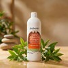Babaria Shampoo Adultos Y Niños