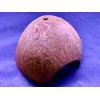 AquaEmporium Coconut shell aquarium For Cichlid Fish Hide Cave Aquarium