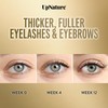 UpNature Organic Castor Oil for Eyelashes – Lash Serum for