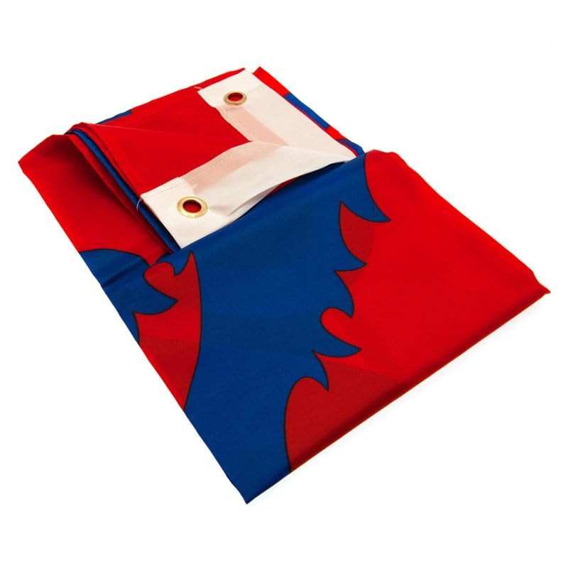 GiftLocalUK England FA Crest Football World Cup European Lioness Lion