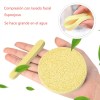 5 Paquetes Esponja Facial Comprimida 12 Piezas Por Paqueteesponjas Para