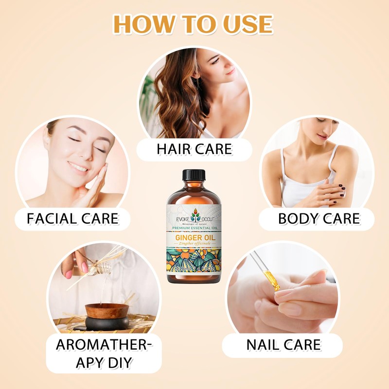EVOKE OCCU 100% Pure Ginger Oil, Natural Ginger Essential Oil
