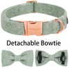 ARING PET Bowtie Dog Collar, Cotton Green Dog Collar with