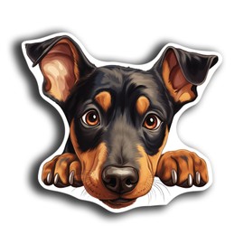 Dog Peeking Sticker Decals - 20 Dog Breeds - Cute Car Window and Bumper Stickers - 5 Inch Vinyl Waterproof Dog Lover Decals (Doberman Pinscher)