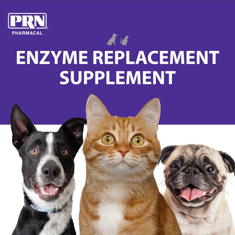 PRN Pharmacal ProZyme Original Formula Enzyme Replacement Supplement - Reinforces