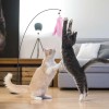 Unbranded 3pcs Cat Teaser Toy Set Suction Cup Feather Teaser