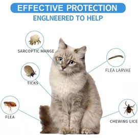 Advanllent Advanllent Cat Natural Essential Oil Collar, 1 Pack Cat Collar for Kitten, Waterproof Adjustable, One Size Fits All, 15.5 inch