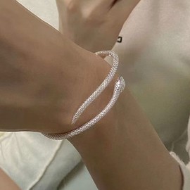 Inateannal Punk Snake Bracelet Silver Snake Open Bangle Vintage Serpent Wrap Bangle Snake Animal Bracelet Jewelry for Women and Girls Gifts