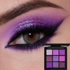 Paletas de Sombras de Ojos 9 Coloridas Profesionales Paletas de