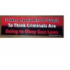 Gun Rights Bumper Stickers 2 pack CRIMINALS GUN LAWS 08