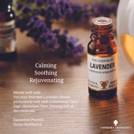 Amphora Aromatics Lavender Essential French Oil 10ml