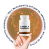 NAIMA Canela 800mg, 100 Cápsulas | Apoya la Digestión y