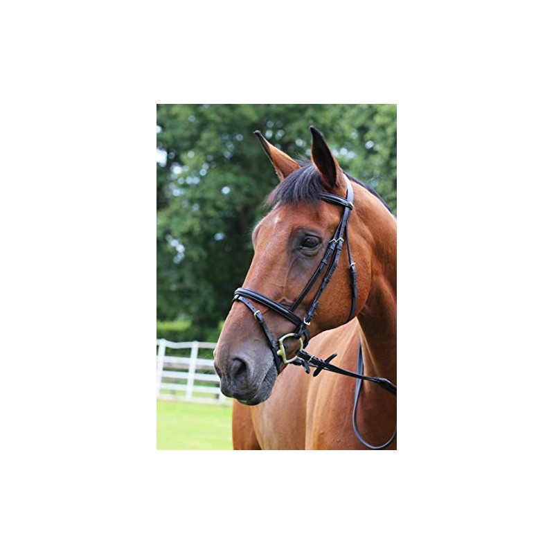 Gallop Padded Bridle and Rubber Reins set (Brown, Full)