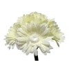 Gerbera Daisy Bouquet 9 Stems 10in Cream