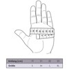ALPIDEX Softshell Sports Gloves Running Gloves Sports Gloves Nordic Walking