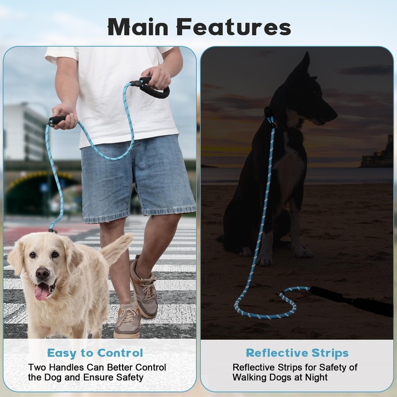 Amrules 6 FT Dog Training Leash Durability No Pull Polyester