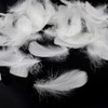 Feather Shower Feathers, Plenty of 120 Pieces, Decorative Feathers, Wedding,