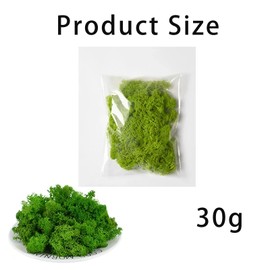 180g Preserved Moss 6 Vibrant Colors, All-Natural & Long-Lasting Moss for DIY Crafts, Terrariums, Moss Wall Art, Easter Decorations, Model Scenery Perfect for Creative Projects & Floral Arrangements