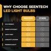 Seentech 6 Pack Dimmable Warm Amber CA10 C35 LED Candelabra