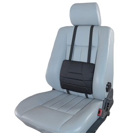 Big Ant Lumbar Support Cushion,Car Back Support Cushion for Lower Back,Tailbone, Hip Relief,Lumbar Support Pillow for Car Seat-Black