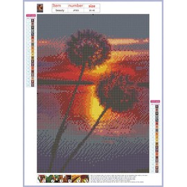 DCIDBEI DIY 5D Square Diamond Painting by Numbers Set, Square Diamond Painting Kits Dandelion Sunset Rhinestone Embroidery Cross Stitch for Adults Canvas Wall Decoration 30 x 40 cm