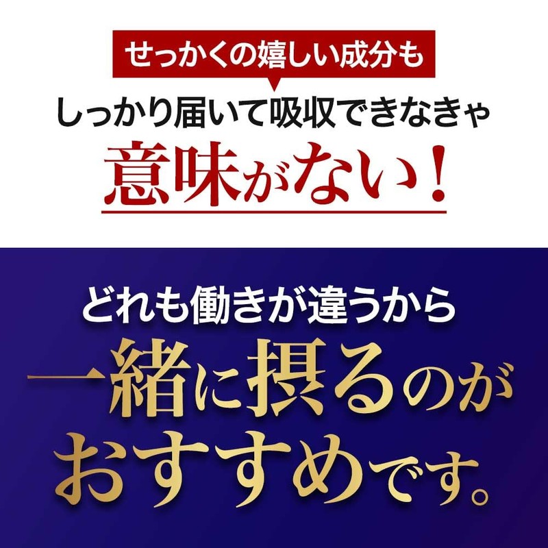 オーガランド (ogaland) ブルーベリープレミアム (90粒 / 約3ヶ月分) サプリ (ルテイン/ブルーベリー/アスタキサンチン/カシス) メグスリノキ サプリメント