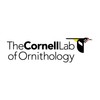 New York Puzzle Company - Cornell Lab Rainbow of Birds