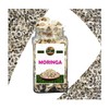 Moringa en Semilla Entera – 100% Natural – 55g -Calidad