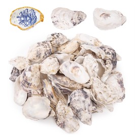 QEQEKAKA 25PCS Oyster Shells 3"-4" Concave Oyster Shells for Crafts Natural Oyster Shells Bulk, for Home Vase Filler, Xmas Ornaments, DIY Arts and Crafts Sea Shells
