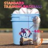 Poosue Standard Size T-Ball Training Baseballs, Reduced Impact Kids Safety