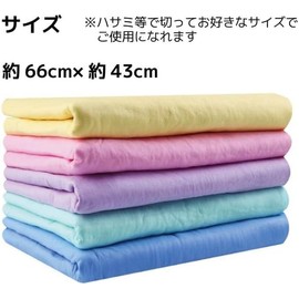 GEARS Chamois Towel, Size L, Set of 2, Swim Towel, Sports Towel, Large, Large, Water Absorbent, Quick Drying, Hair, Car, Wash, Window, Washroom, Pool, Sports, Plain, Pet, Blue & Green