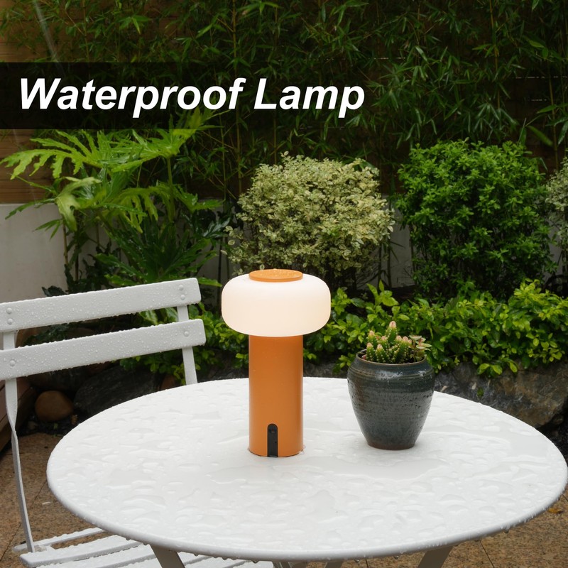 WEILAILUX Shower Lamp Waterproof, Outdoor Cordless Table Lamp Rechargeable, Portable