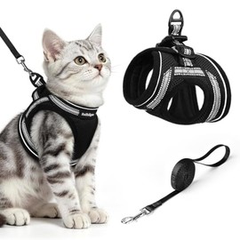 rabbitgoo Juego de arnés y Correa para Gatos Caminar a Prueba Escape, Chaleco Suave Ajustable Gatitos con Tira Reflectante Extra pequeños pequeños, có