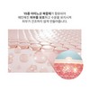 Bottederm Skin Protection Elisier Essence 50ml Inner Light Water Glow