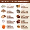 Sakoon nutrition Lions Mane Mushroom Gummies with Turkey Tail, Reishi