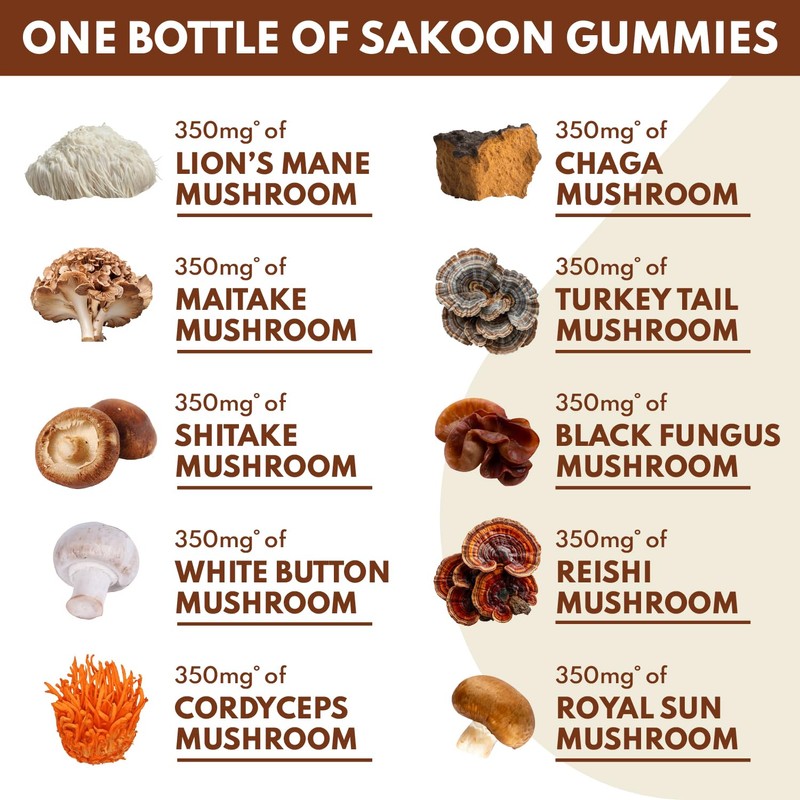 Sakoon nutrition Lions Mane Mushroom Gummies with Turkey Tail, Reishi
