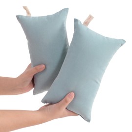 NTBAY 2 Pack Tiny Pillows, 11"x7" Microfiber Mini Pillows for Travel, Pets, Soft Machine Washable Small Pillows for Neck, Wrist, Lumbar and Knee, Sea Green
