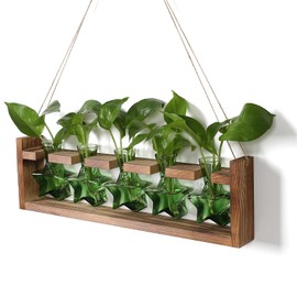 Plant Propagation Stations 5 Star Terrarium Starter kit Glass planters for Indoor Plants Gift for Women with Wooden Stand Star Shaped Colored Glass Vase