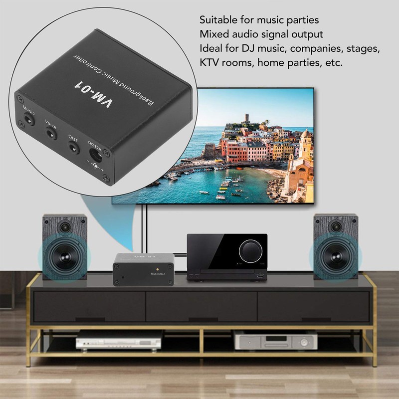 Background Music Controller Black Excellent Compatibility Miniature Size Music Switcher