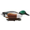 Final Approach Live Floating Northern Shovelers, Decoy 6 Pack in